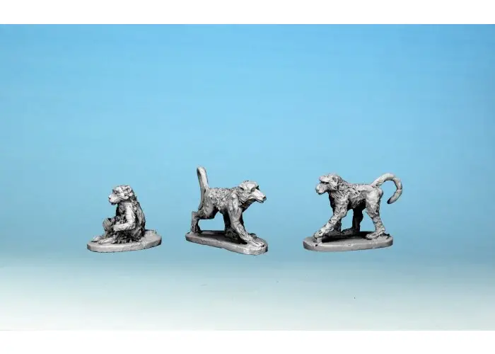 Baboons