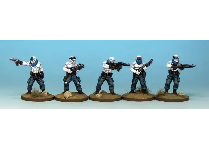 Wasteland Warriors