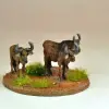 Photo of Gnu/ Wildebeest (AA06)