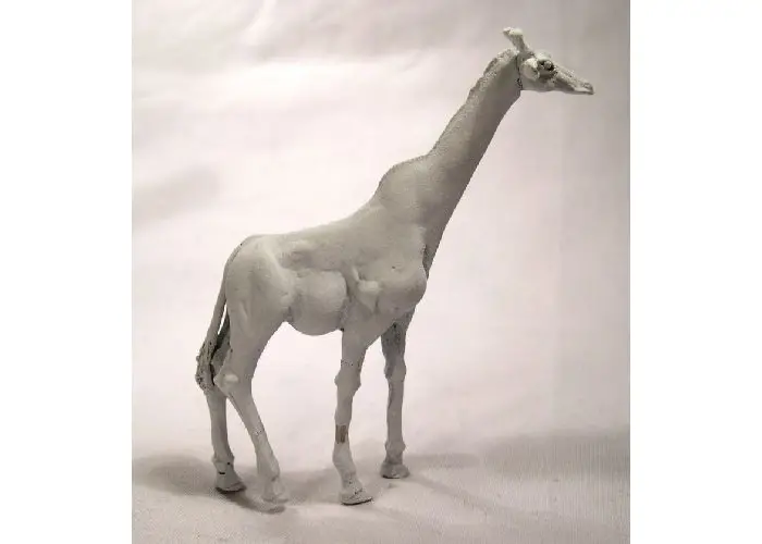 Giraffe