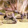 Photo of Spotted Hyena (AA12)