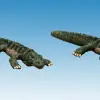 Photo of Dwarf Crocodiles (AA16)