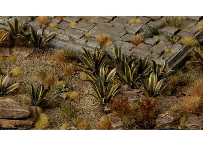 Laser Plants - Agave