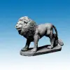 Photo of Lion (AA11)