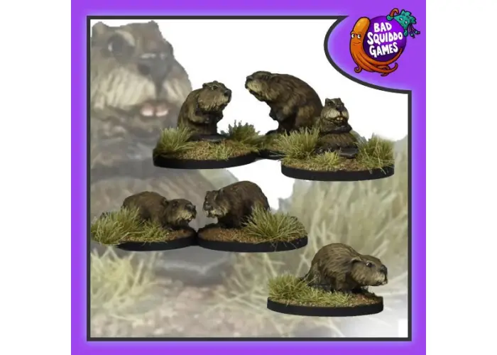 Beavers
