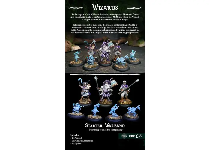 Wizard Starter Warband