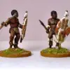 Photo of Matabele Warriors II (unmarried) (NSA1007)