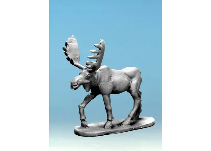 Moose