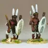 Photo of Matabele Amadoda Warriors (NSA1009)