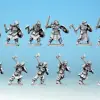 Photo of Shieldmaidens with Swords/ Axes (15mm) (MFMH003)