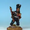 Photo of 2nd French Guard (TSB014d)