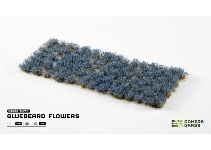 Bluebeard Flowers