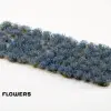 Photo of Bluebeard Flowers (GGFS-BLU)
