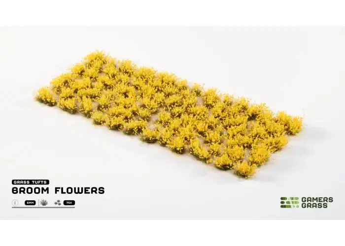 Broom Flowers