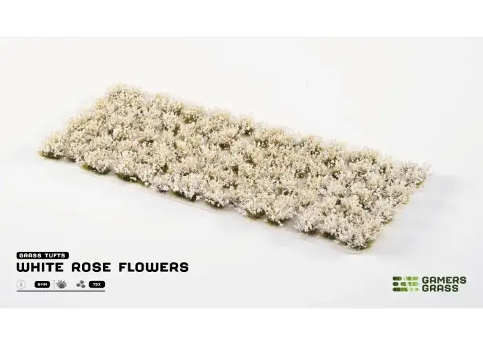 White Rose Flowers