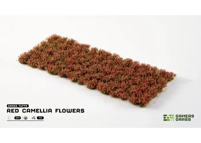 Red Camellia Flowers