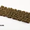 Photo of Swamp Shrubs (GGFS-SWA)