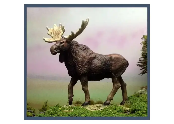 Mighty Canadian Moose