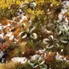 Photo of Laser Plants - Bugloss (GGLP-BL)