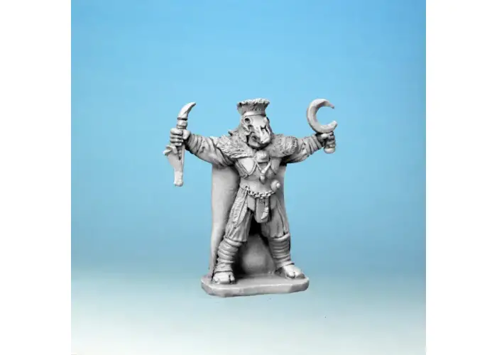 Celtic Druid