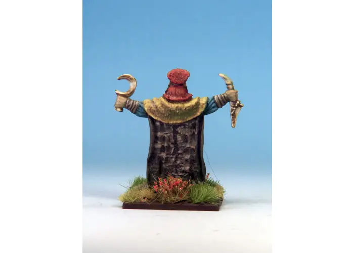 Celtic Druid