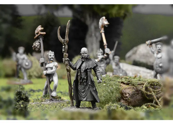 Celtic Druid