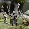 Photo of Celtic Druid (CELTWI)