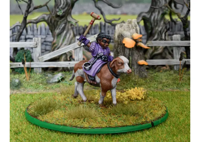 Hairfoot Polo Players