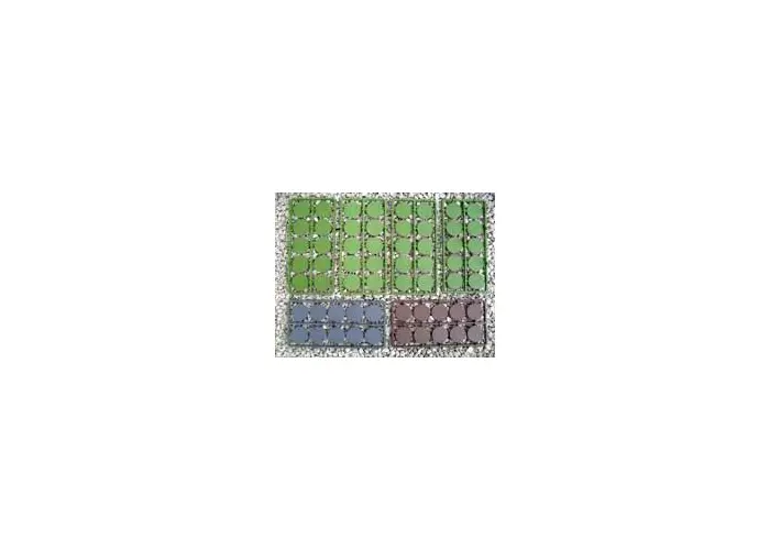 25mm Round Bases