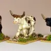 Photo of African Cattle (AA20)