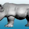 Photo of Rhino (AA18)