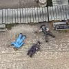 Photo of Dead Man's Hand Lawmen Casualties (DMH501)