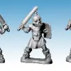 Photo of Sorcerors Bodyguard (FW3008)