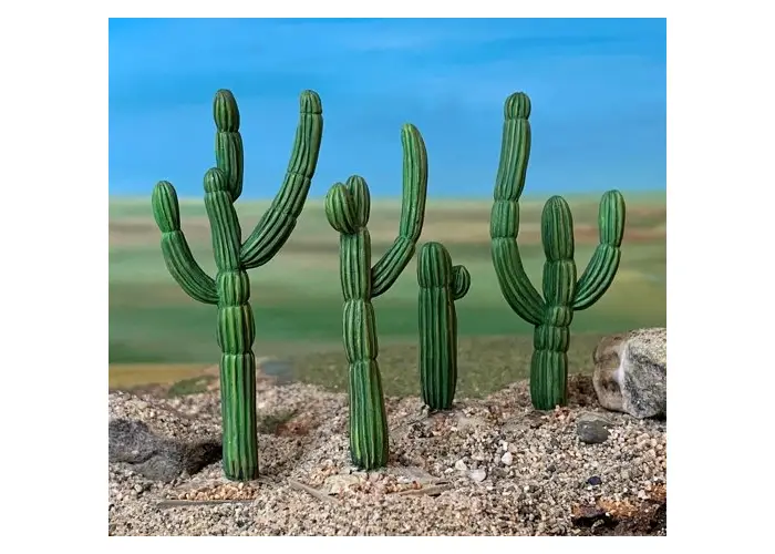 Saguero Cacti