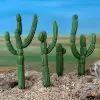 Photo of Saguero Cacti (PMX 10)