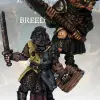 Photo of Gnoll Knight & Templar (FGV219)