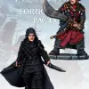 Photo of Assassin & Demon Hunter (FGV222)