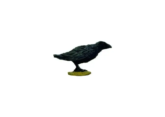 A Murder of Crows